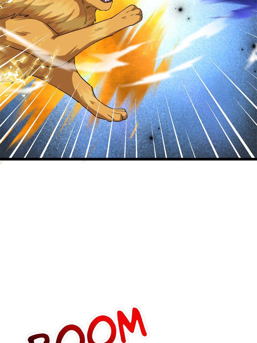 81490540 900 1200 109299