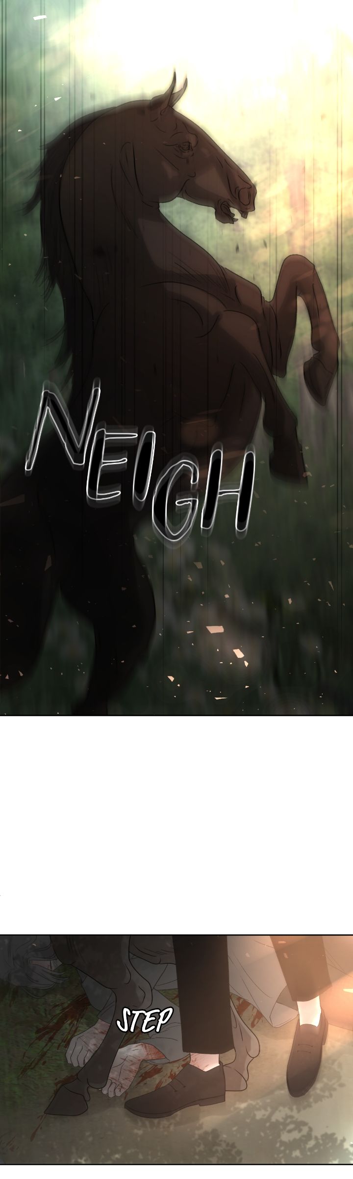 65774471 720 2400 118517